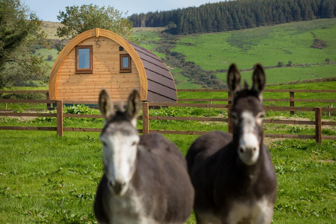 Luxury Two-Bed Glamping Pod In County Clare 2 Villa Kilbane ภายนอก รูปภาพ