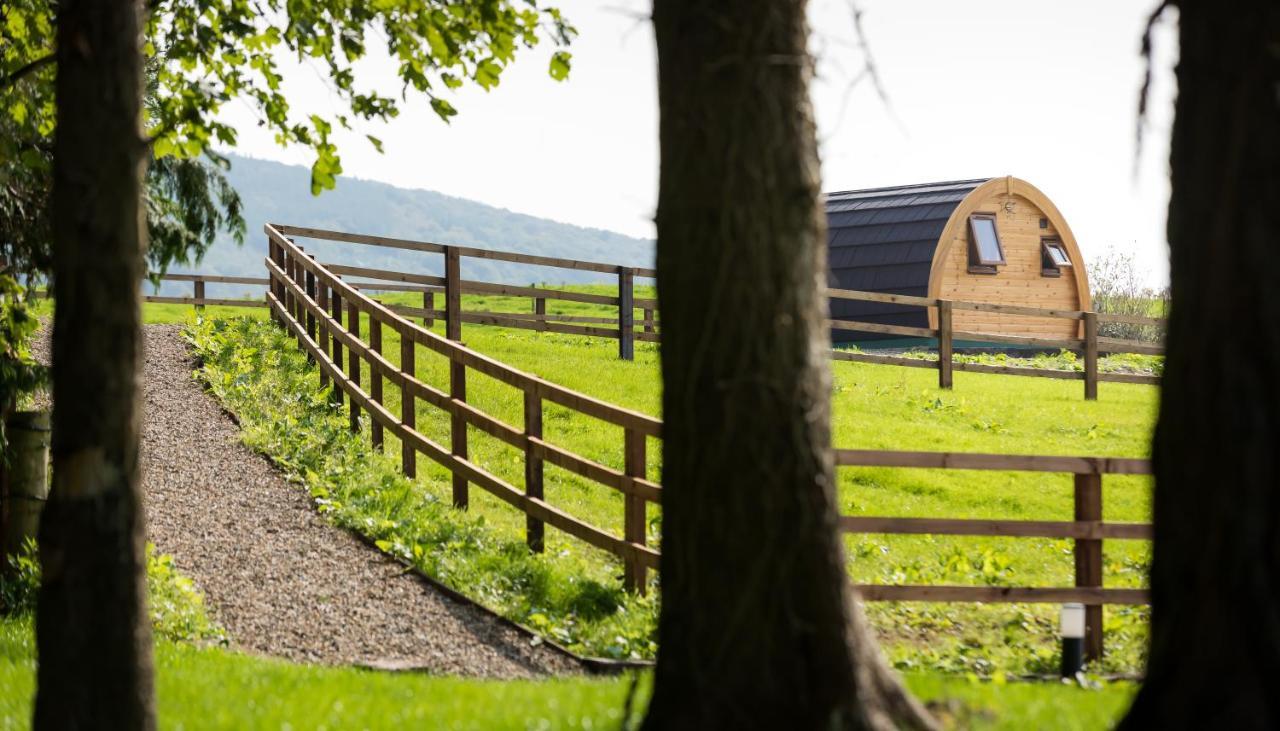 Luxury Two-Bed Glamping Pod In County Clare 2 Villa Kilbane ภายนอก รูปภาพ