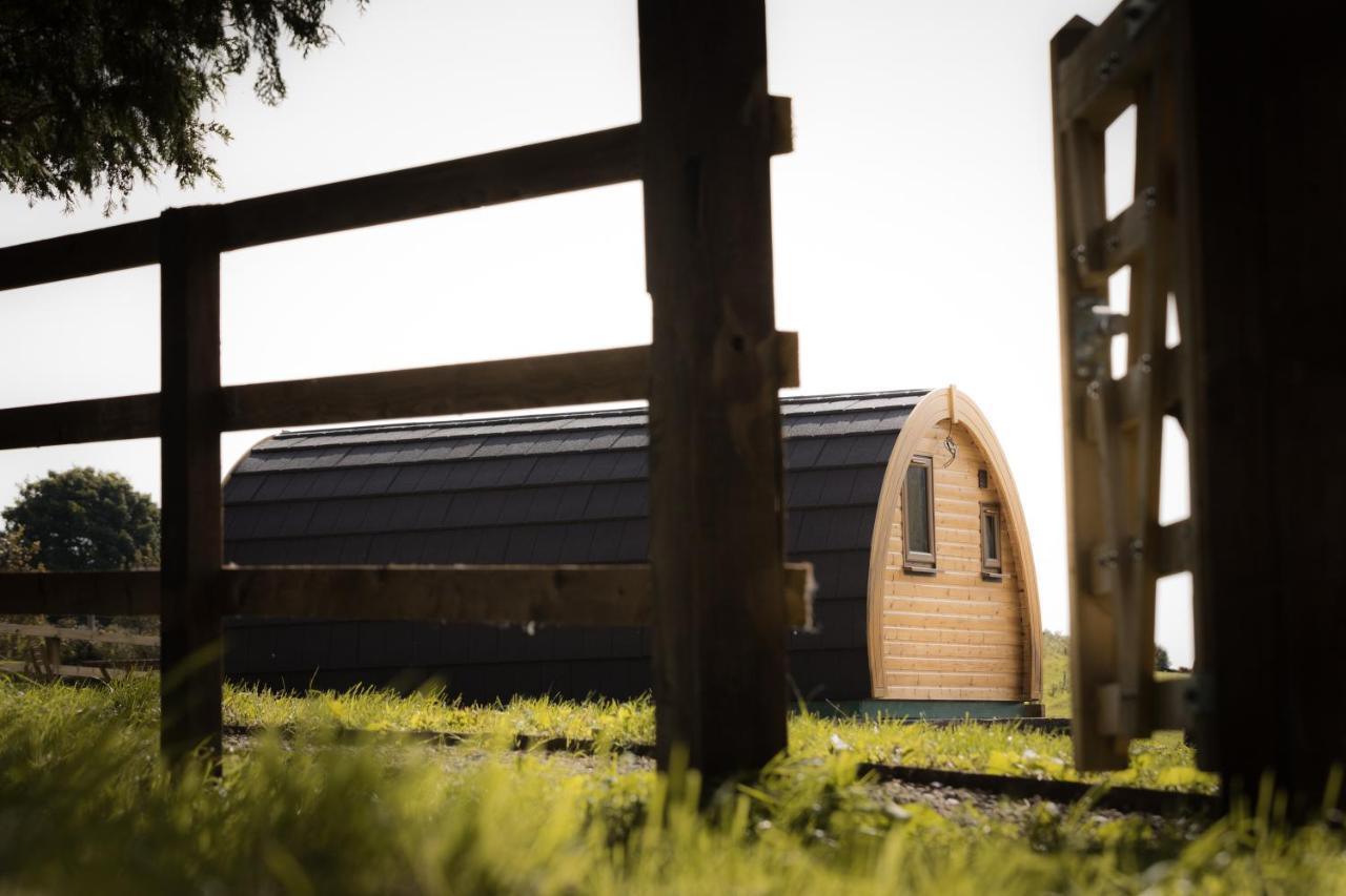 Luxury Two-Bed Glamping Pod In County Clare 2 Villa Kilbane ภายนอก รูปภาพ