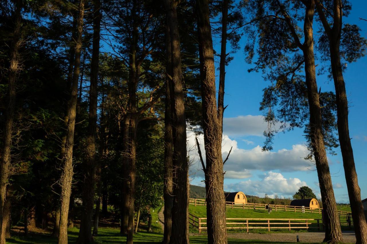 Luxury Two-Bed Glamping Pod In County Clare 2 Villa Kilbane ภายนอก รูปภาพ